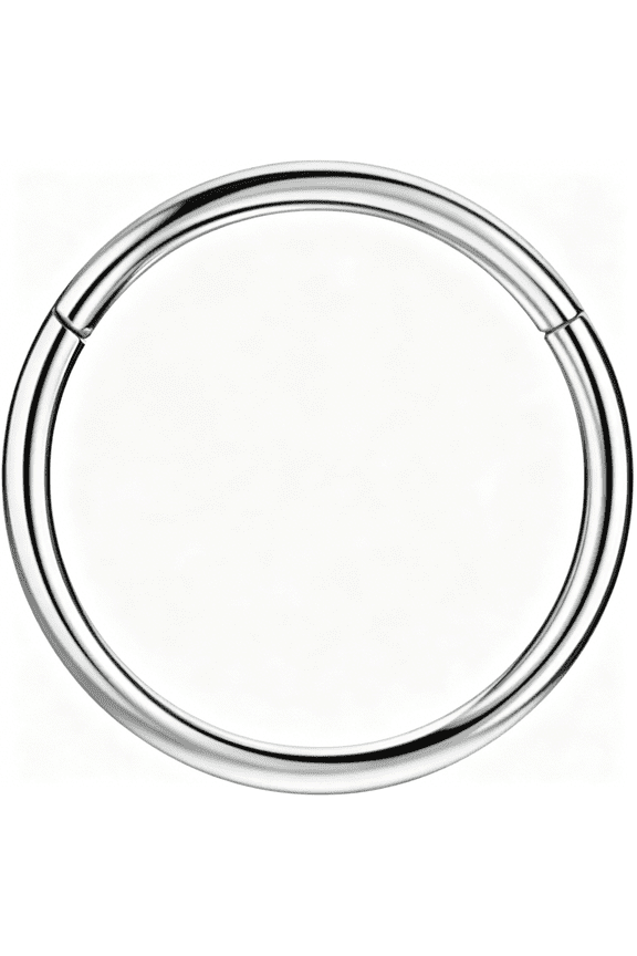 Men Women 316L Surgical Steel Hinged Nose Rings Hoop for Nostril Septum Cartilage Helix Daith Tragus Rook Conch Lip Ear Lobe Piercings