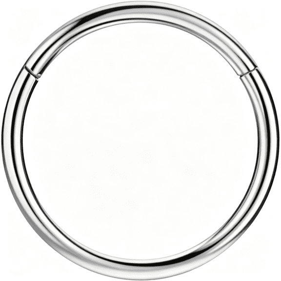DESIGNICE Men Women 316L Surgical Steel Hinged Nose Rings Hoop for Nostril Septum Cartilage Helix Daith Tragus Rook Conch Lip Ear Lobe Piercings