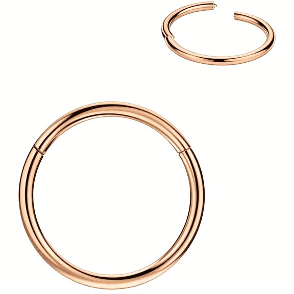 DESIGNICE Men Women 316L Surgical Steel Hinged Nose Rings Hoop for Nostril Septum Cartilage Helix Daith Tragus Rook Conch Lip Ear Lobe Piercings