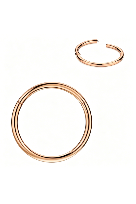 Men Women 316L Surgical Steel Hinged Nose Rings Hoop for Nostril Septum Cartilage Helix Daith Tragus Rook Conch Lip Ear Lobe Piercings