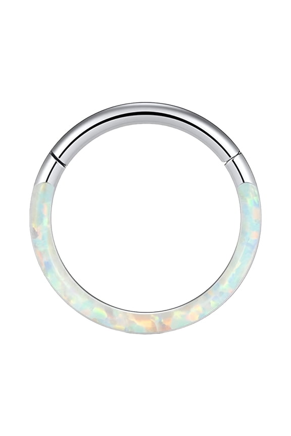 Nose Jewelry 16G Opal Septum Rings Hoop Nose Ring Lip Rings Stainless Steel Hinged Segment Ring Seamless Ring Cartilage Earrings Hoop Tragus Septum Piercing Jewelry Silver