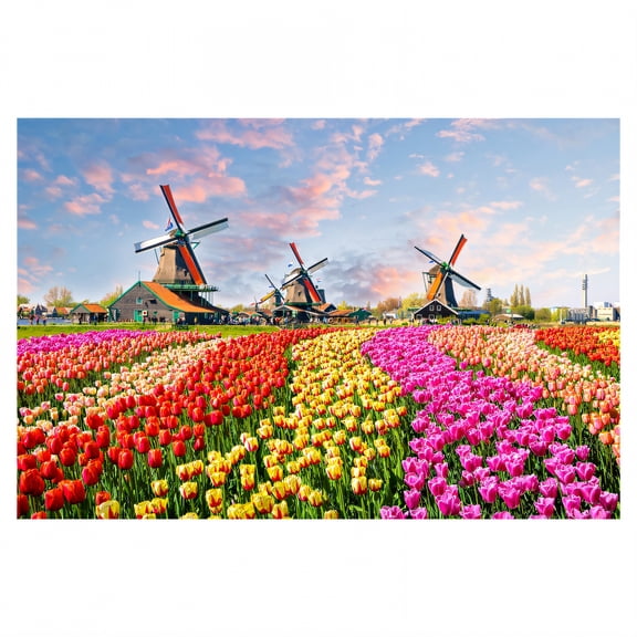 DESIGNICE Puzzles for Adults 500 Pieces,Safe Substances 500 Pieces Jigsaw Puzzles 500 Pieces,Precise Work Puzzles for Adults,style1