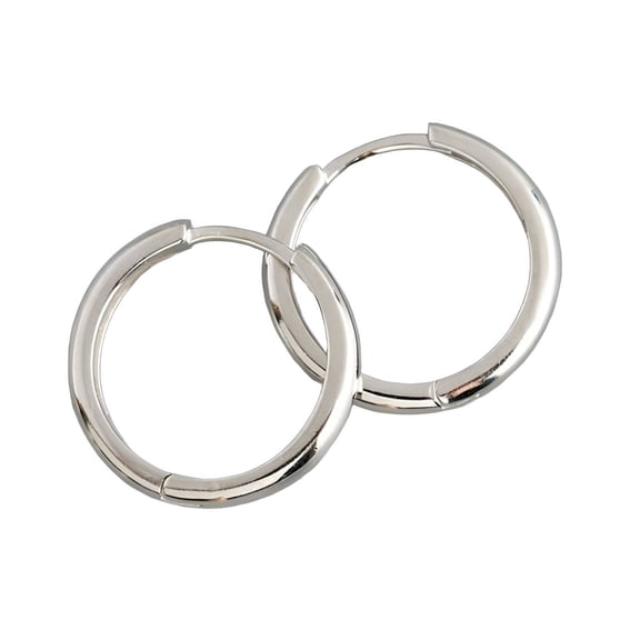 DESIGNICE Earrings for Women,Stud Earrings for Women,Stainless Steel Hypoallergenic Earrings