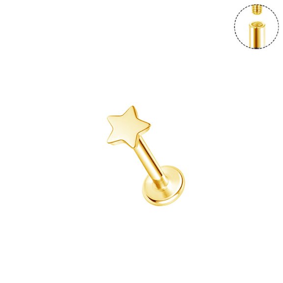 DESIGNICE Star Flat Back Stud Astm-F136 Implant Grade Titanium-Push Pin Design for Sensitive Ears(Single Earring)