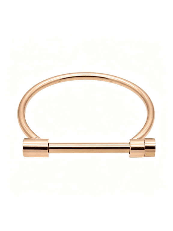 Stylish Titanium Steel D Shape Bar Screw and Shackle Cuff Bangle Bracelet for Unisex a Bracelet