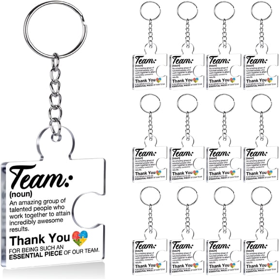 DESIGNICE Team Appreciation Gifts for Employee Coworker Staff,Teamwork Thank You Gift Set Puzzle Piece Acrylic Keychains