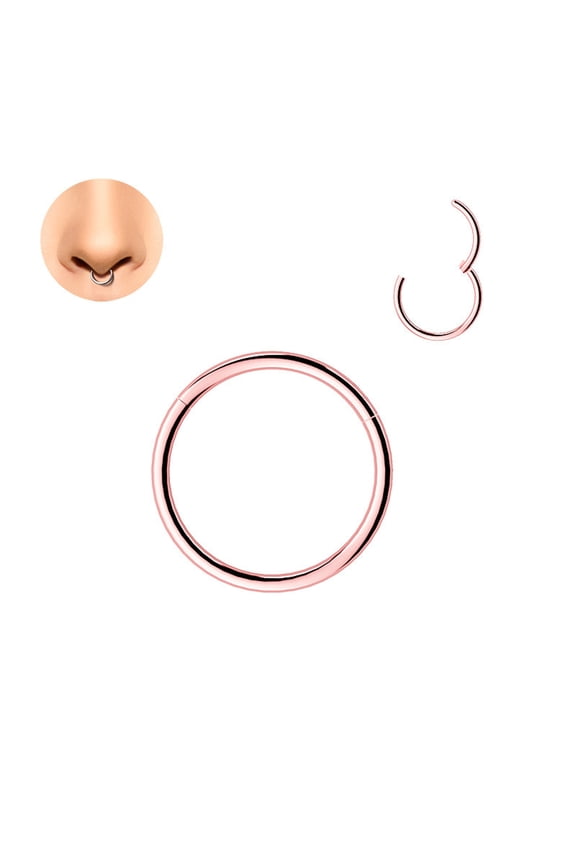 Titanium Nose Rings 18G 16G 14G 12G Nose Rings Hoops Septum Clicker Hinged Segment Ring Cartilage Helix Tragus Conch Daith Rook Hoop Earring,Diameter 5Mm to 16Mm Silver-Gold-Rose Hoop Ring
