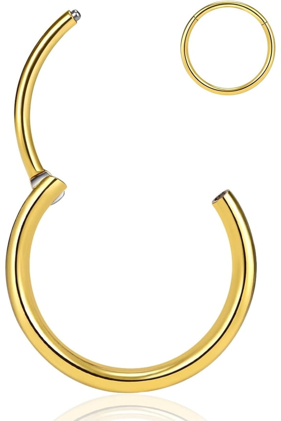 Titanium Nose Rings 20/18/16/14/12G Nose Rings Hoops Septum Clicker Hinged Segment Ring Cartilage Helix Tragus Conch Daith Rook Hoop Earring,Diameter 5-16Mm Silver-Gold-Rose Gold-Black
