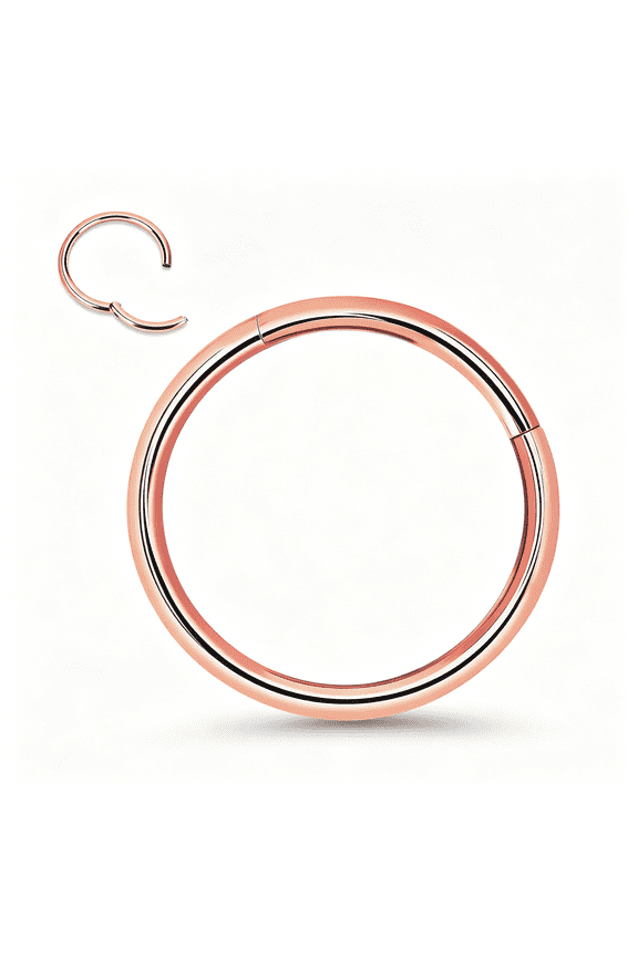 Titanium Nose Rings 20/18/16/14/12G Nose Rings Hoops Septum Clicker Hinged Segment Ring Cartilage Helixtragus Conch Daith Rook Hoop Earring,Diameter 5-16Mm Rose Gold Hoop Ring