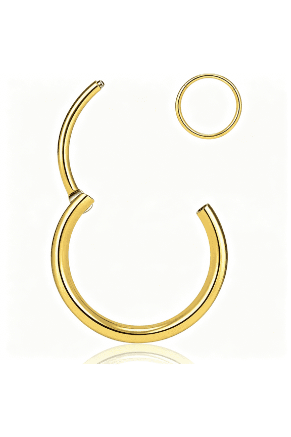 Titanium Nose Rings 20/18/16/14/12G Nose Rings Hoops Septum Clicker Hinged Segment Ring Cartilage Tragus Conch Daith Rook Hoop Earring,Diameter 5-16Mm Silver-Gold-Rose Gold-Black Hoop Ring