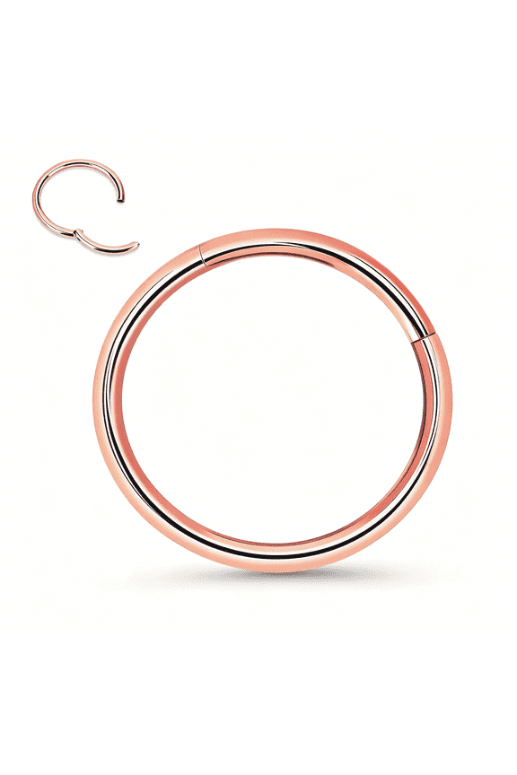 Titanium Nose Rings 20/18/16/14/12G Nose Rings Hoops Septum Clicker Hinged Segment Ring Cartilage Tragus Conch Daith Rook Hoop Earring,Diameter 5-16Mm Silver-Gold-Rose Gold-Black Hoop Ring