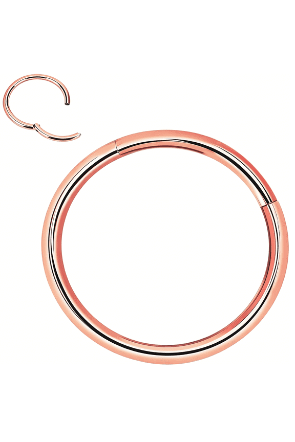Titanium Nose Rings 20G 18G 16G 14G 12G Nose Rings Hoops Septum Clicker Hinged Segment Ring Cartilage Tragus Conch Daith Rook Hoop Earring,Diameter 5Mm to 16Mm Silver-Gold-Rose