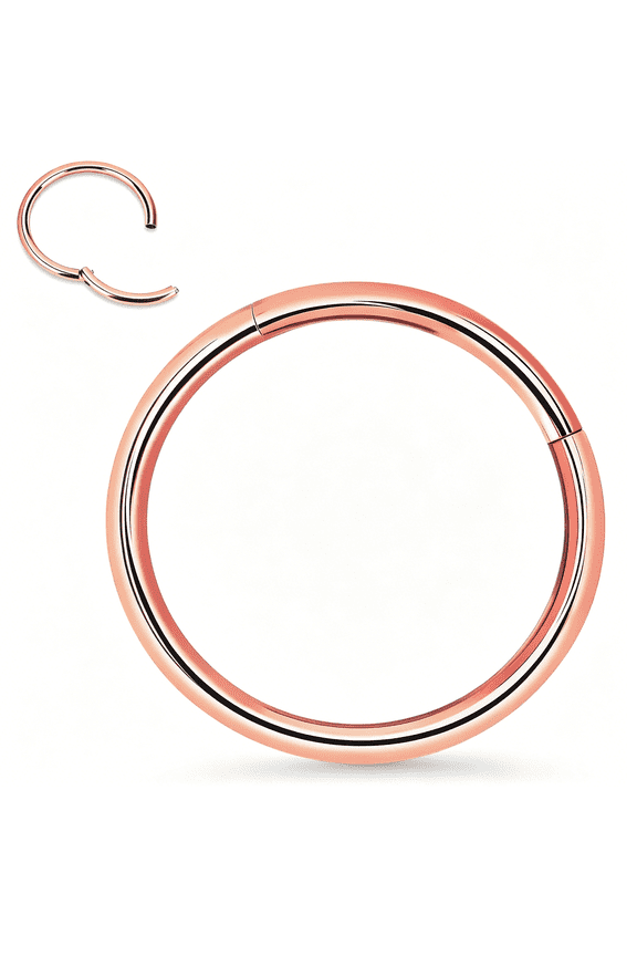 Titanium Nose Rings 20G 18G 16G 14G 12G Nose Rings Hoops Septum Clicker Hinged Segment Ring Cartilage Tragus Conch Daith Rook Hoop Earring, Diameter 5mm to 16mm Silver-Gold-Rose