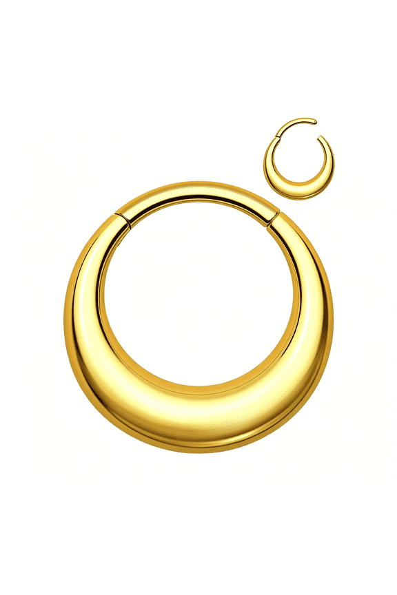 Titanium Septum Rings,16G Septum Jewelry,Clicker Septum Nose Piercing Jewelry Hoops,Silver Gold Hinged Segment Daith Piercing Jewelry for Women Men-8Mm/10Mm