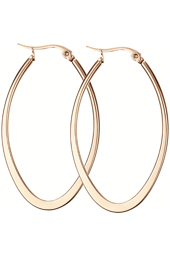 Titanium Steel Hoop Earrings for Sensitive Ears Women,Big Hoop Earrings for Women,Earrings Hoops Hypoallergenic