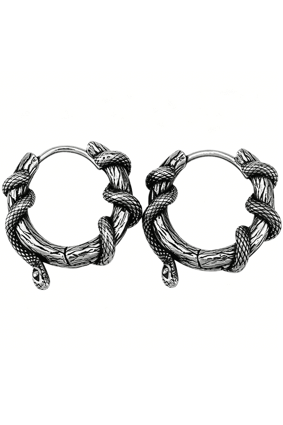 Vintage Snake Hoop Earrings,Stainless Steel Gothic Serpent Earrings,Goth Jewelry Gift for Women