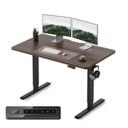 DESINO 48x24 inch Electric Standing Desk, Height Adjustable Sit Stand Desk with Memory Presets, Ergonomic Home Office Computer Desk with Anti-Collision, Black W