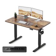 DESINO 48x24 inch Electric Standing Desk, Height Adjustable Sit Stand Desk with Memory Presets, Ergonomic Home Office Computer Desk with Anti-Collision, Rustic 