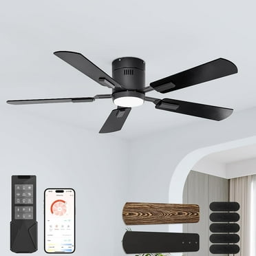 DESINO 52" Ceiling Fans with Lights and Remote/APP Control, Modern Flush Mount Ceiling Fan, 5CCT, Stepless Dimmable, Super Quiet, 6 Speeds, 5 Blades, LED Bulb, Black