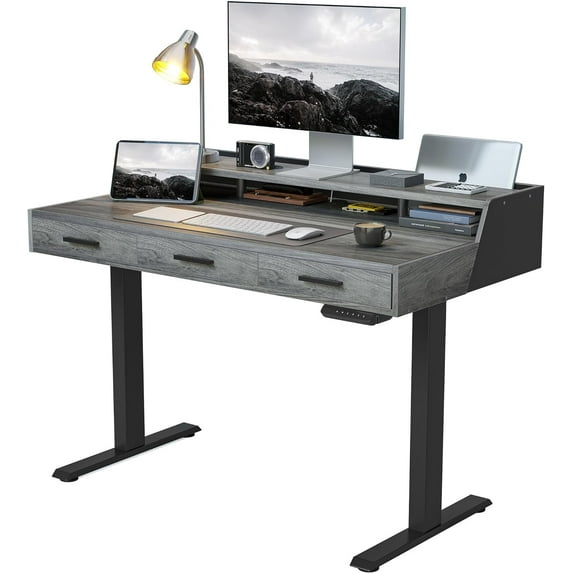DESINO Electric Standing Desk with Drawers, 48"x24" Standing Desk Adjustable Height, Lifting Range 28~46" Stand Up Desk ,Sit Stand Home Office Desk with Monitor Shelf, Rustic Grey
