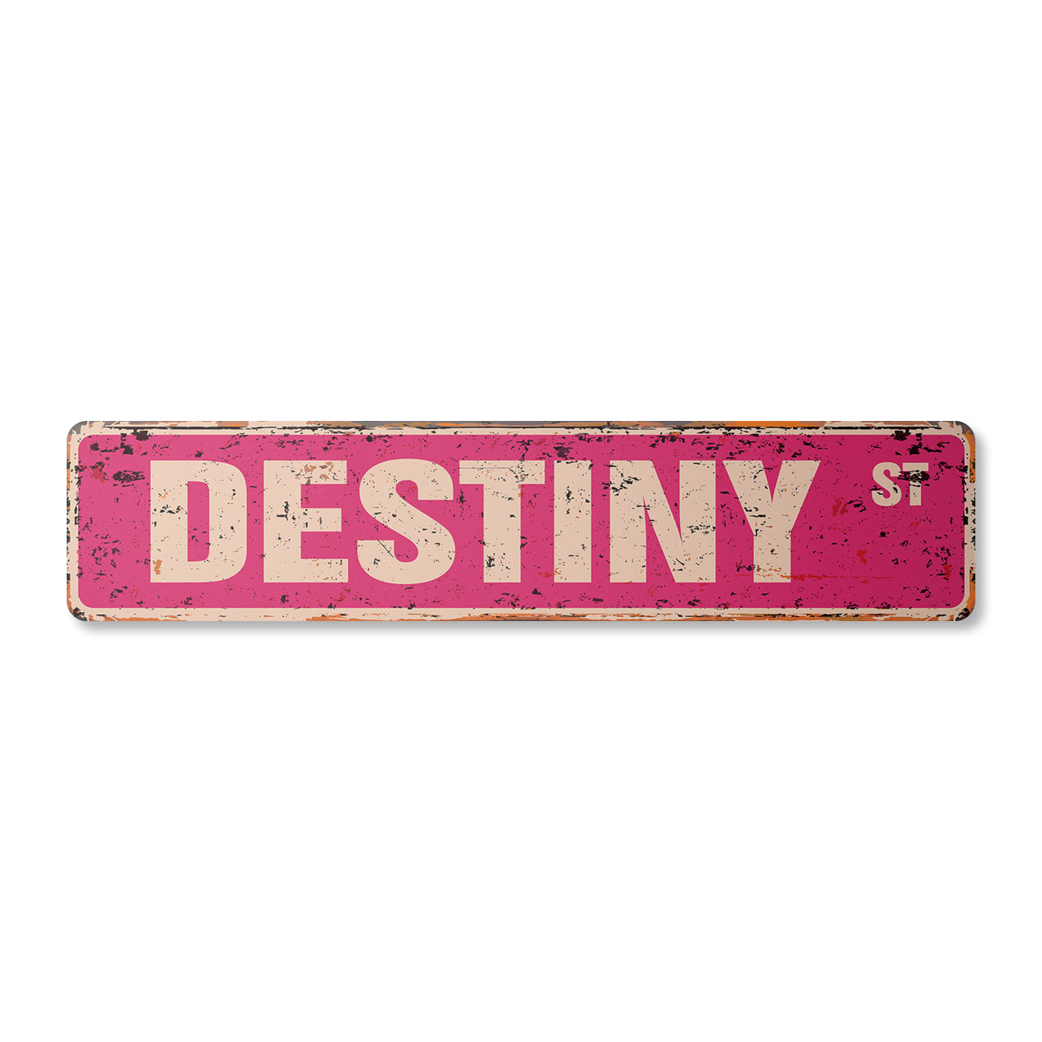 DESTINY Vintage Aluminum Street Sign Childrens Name Room Metal Sign ...