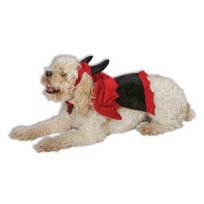 DEVIL PET COSTUME-LG (PROMO)