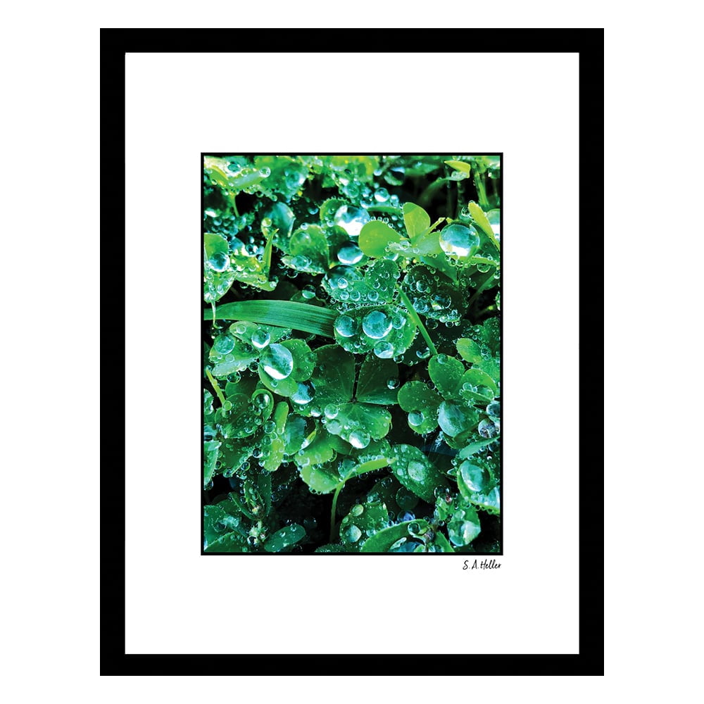 DEW MORNING Framed Printed Photograph