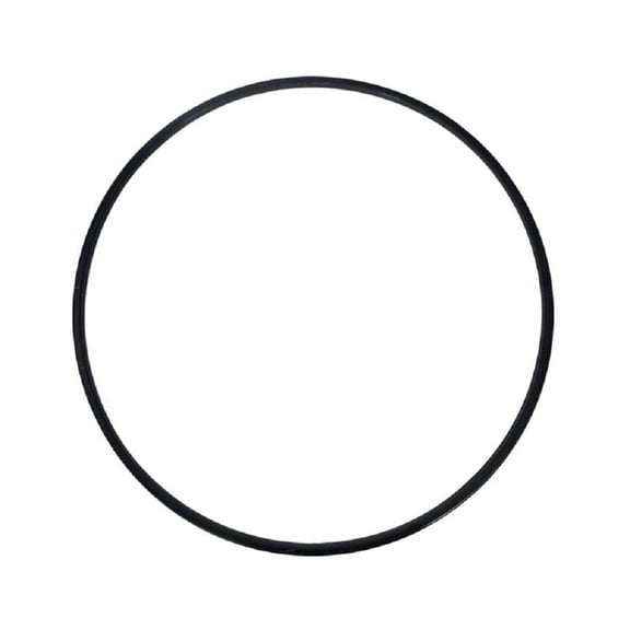 Gasket, Hayward Swimclear, Tank Lid, 19-13/16"ID, 20-11/16"OD