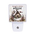 thumbnail image 1 of DEXSA Peaceful Joyful Blessed Nightlight - Let Your Light Shine LED Night Light, 1 of 1