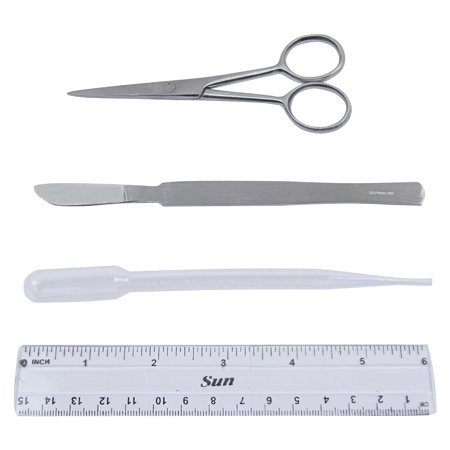DEXSUR 4 Pcs Dissecting Kit - KIT1357