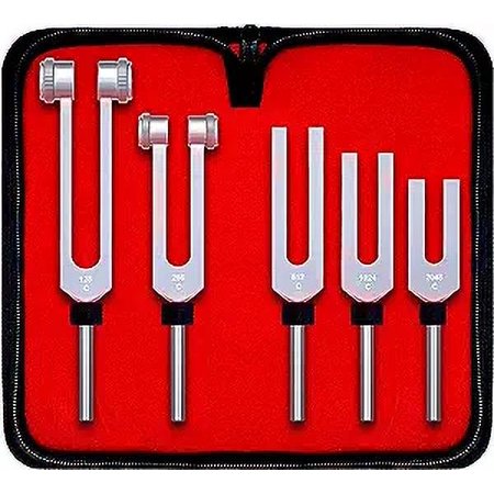 DEXSUR 5 Pcs Tuning Forks Set with Carrying Case