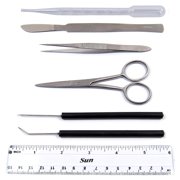 DEXSUR 7 Pcs Dissecting Kit - KIT1021
