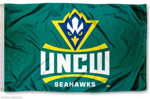 Wagner Seahawks Wordmark Pennant Flag – 12"x30" Felt, Officially Licensed College Sports Decor