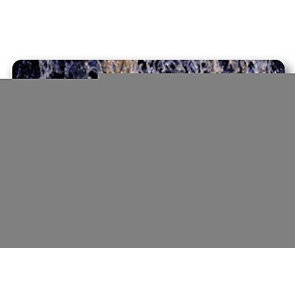 DEYOU Watering Tiger Doormat Outdoor Indoor Floor Mats Non-Slip Bathroom Mats Size 23.6x15.7 Inch