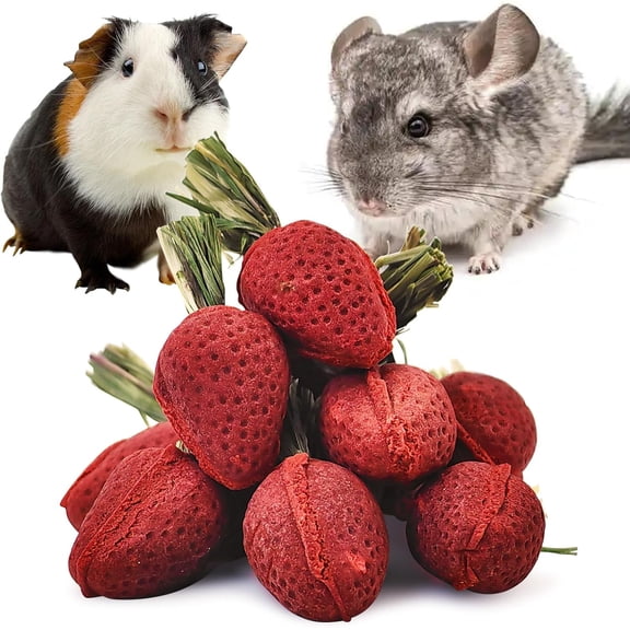 DFORD 12 PCS Rabbit Chew Toys, Natural Pumpkin Carrot Timothy Grass Guinea Pig Chew Toys for Teeth Bunny Molar Snacks Dental Care Hamster Treats for Bunny Guinea Pig Chinchilla Hamster Gerbil