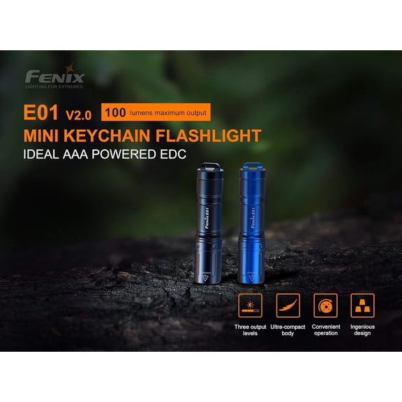 DFVYU-E01 V2 100 Lumen LED Flashlight with EdisonBright AAA Alkaline Battery Bundle (Black)