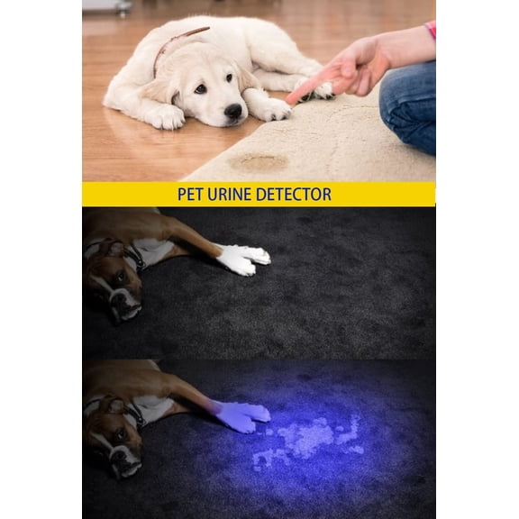 DFVYU-UV 365nm and 395nm Flashlight Light Wood's Lamp Blacklight Ultraviolet LED Portable Mini Handheld Torch Detector for Dog Urine Pet Stains Anti-counterfeiting Identification Resin Curing