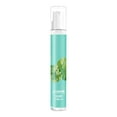 DGHM Breath Freshening Spray Net Refreshing Mint Peach Flavor To Bad