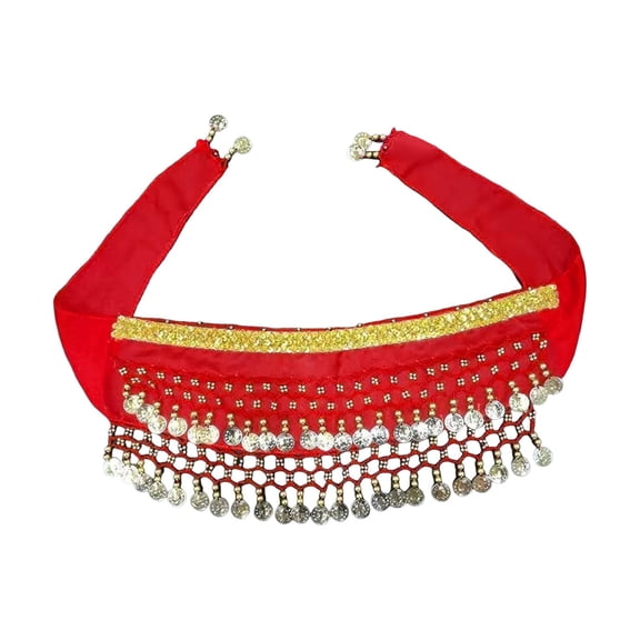 DGMIOCS Dog Belly Dance Costume Sequin Waist Scarf Party Prop