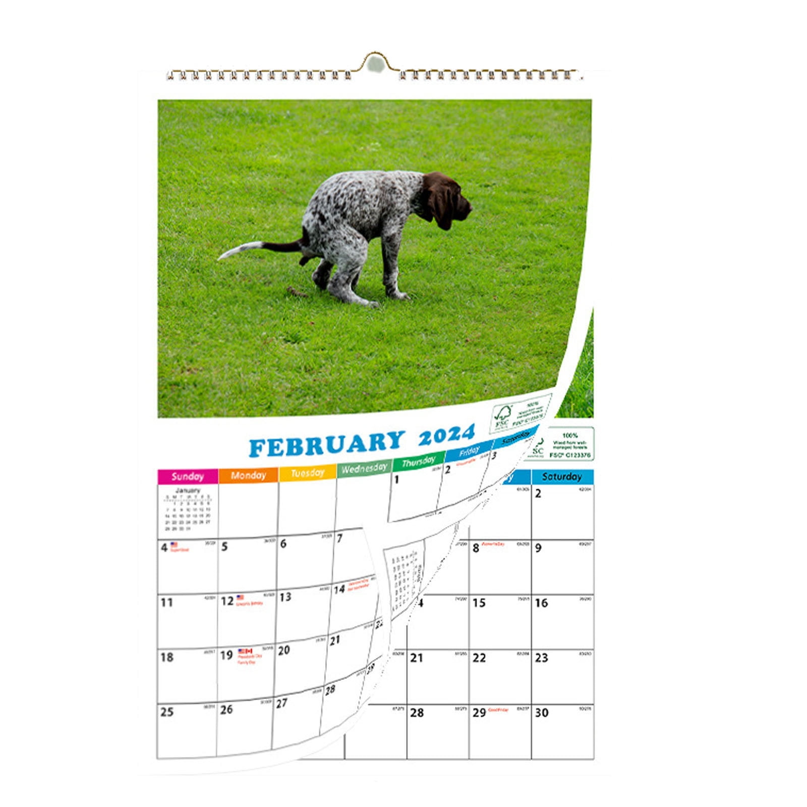 Cat Poop Calendar 2025 Ibby Randee