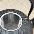 DGSDDK Cast Iron Japanese Tea Pot with Stainless Steel Infuser for