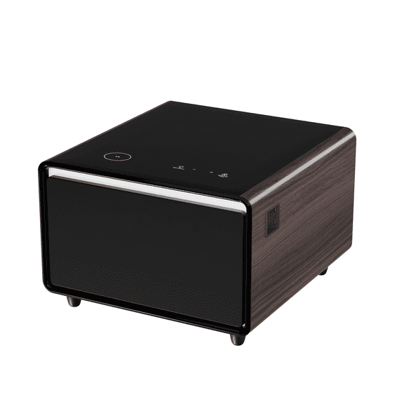 DGVITA Smart Side Table with Fridge & Wireless Charger - USB Ports, Induction Light, Modern Brown/Black - Living Room & Bedroom