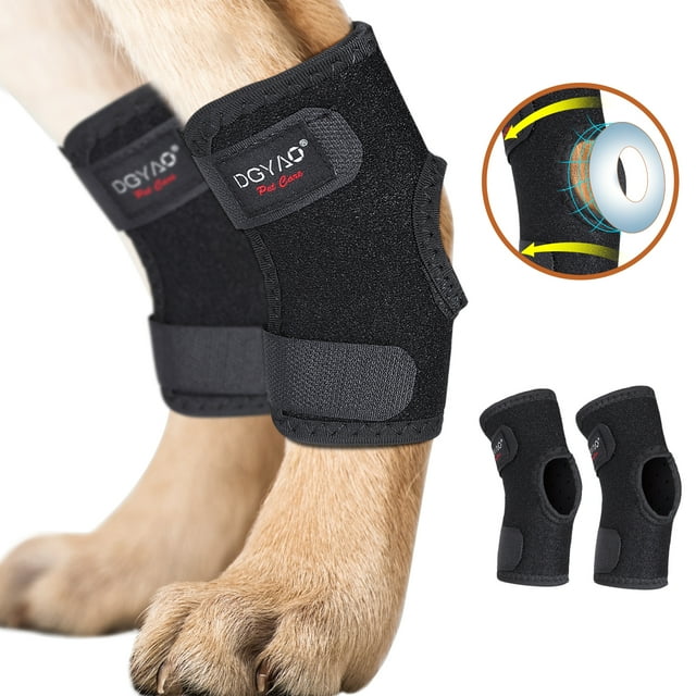 DGYAO Dog Knee Brace for ACL & CCL Recovery, Stable Support, Adjustable ...