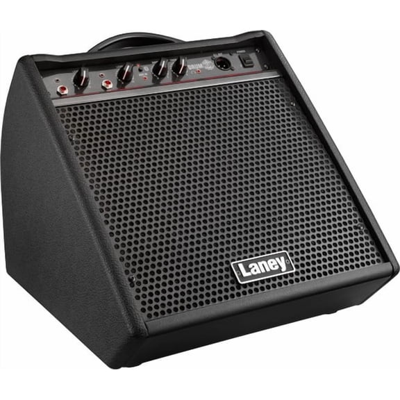 DH80 DrumHub amp for drums