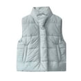 thumbnail image 1 of DHFJKG Baby Boys Girls Zip Up Puffer Vest Lightweight Winter Outdoor Warm Sleeveless Stand Collar Casual Fall Winter Clothes For 3-24 Months Leisure Outerwear, 1 of 8