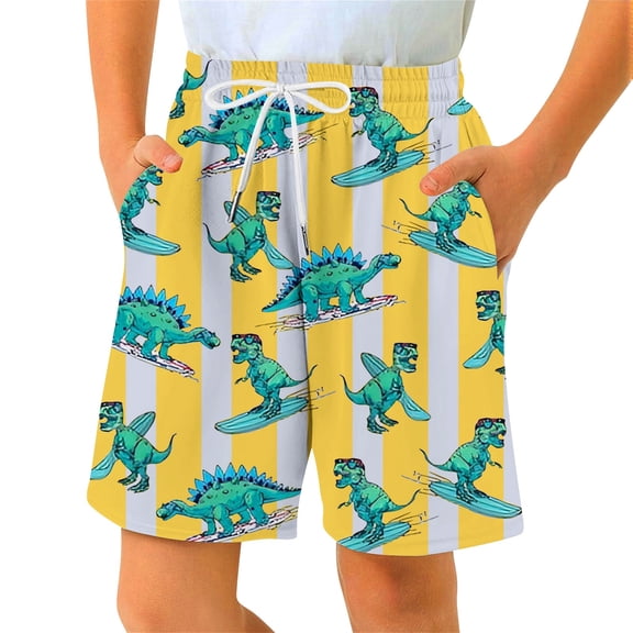 DHFJKG Boys Dinosaur Print Shorts For Kids Summer Casual Outdoor Play Athletic Drawstring Elastic Waist Shorts 2-14Y Comfortable Bottoms