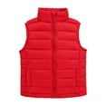 thumbnail image 1 of DHFJKG Boys Girls Quilted Padded Vest Lightweight Insulated Sleeveless Stand Collar Outerwear Solid Color Zipper Jacket For Kids Youth Soft Vests, 1 of 6