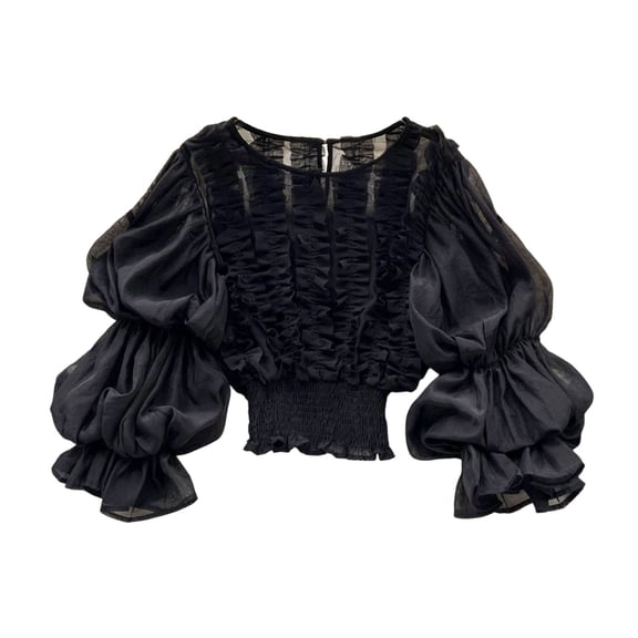 DHFJKG Crop Tops For Women Lantern Long Sleeve Smocked Waist Elegant Dressy Wear Blouse Vacation Outfits Stylish Top
