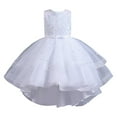 thumbnail image 1 of DHFJKG Glitter Girls Princess Dresses Sparkly Sequins Sleeveless Layered Wedding Gown Party Dress High-Low Trendy Dresses, 1 of 5