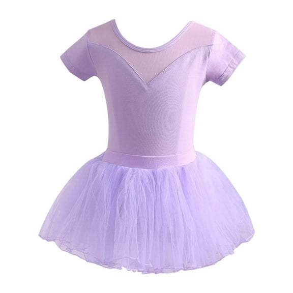 DHFJKG Kid Girls Ballet Skirted Leotard Toddler Short Sleeve Mesh Dance Tutu Dresses Size 1-15 Years Soft Dresses